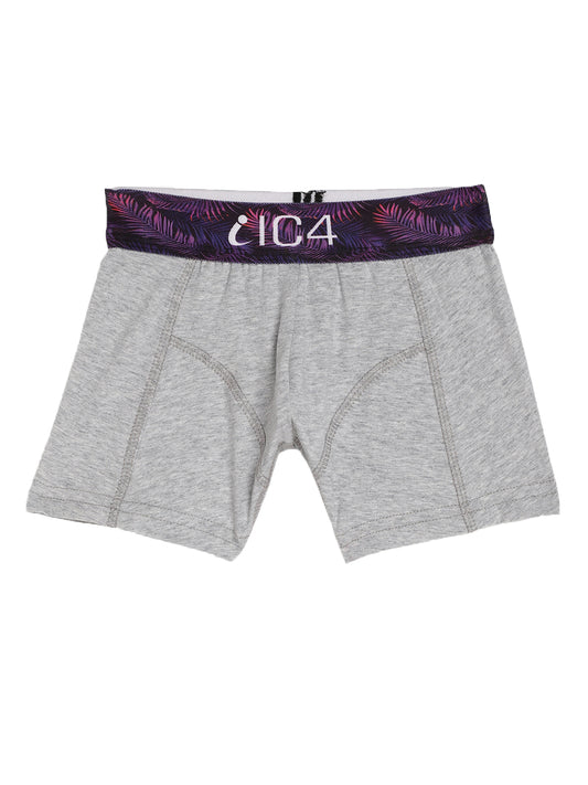 IC4 Boy's Cotton Elastane Mini Trunk