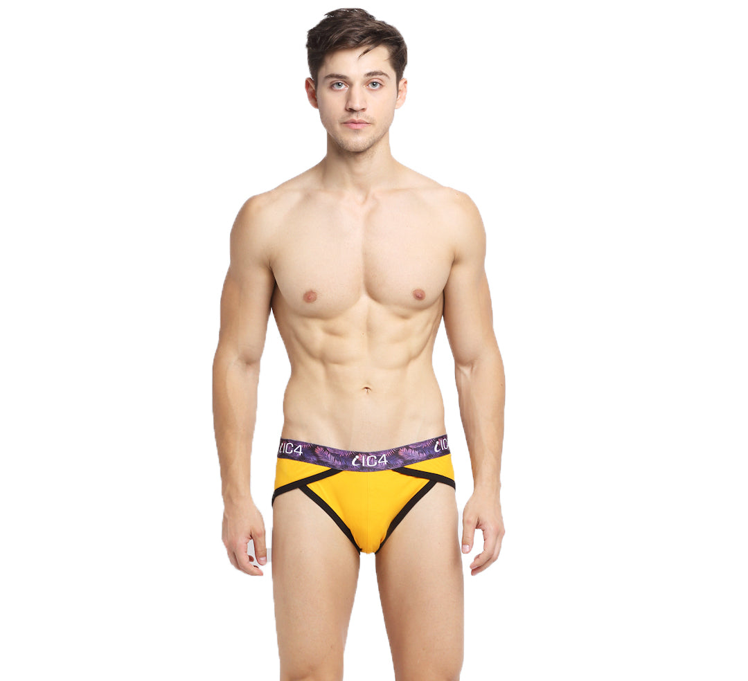 IC4 Men's Cotton Elastane Blaze Brief