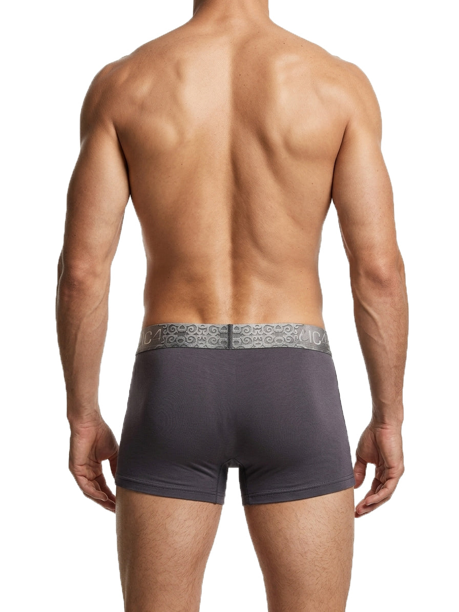 IC4 Luxury Edition Premium Modal Trunk for Men – Ultra Soft Imported Yarn Innerwear