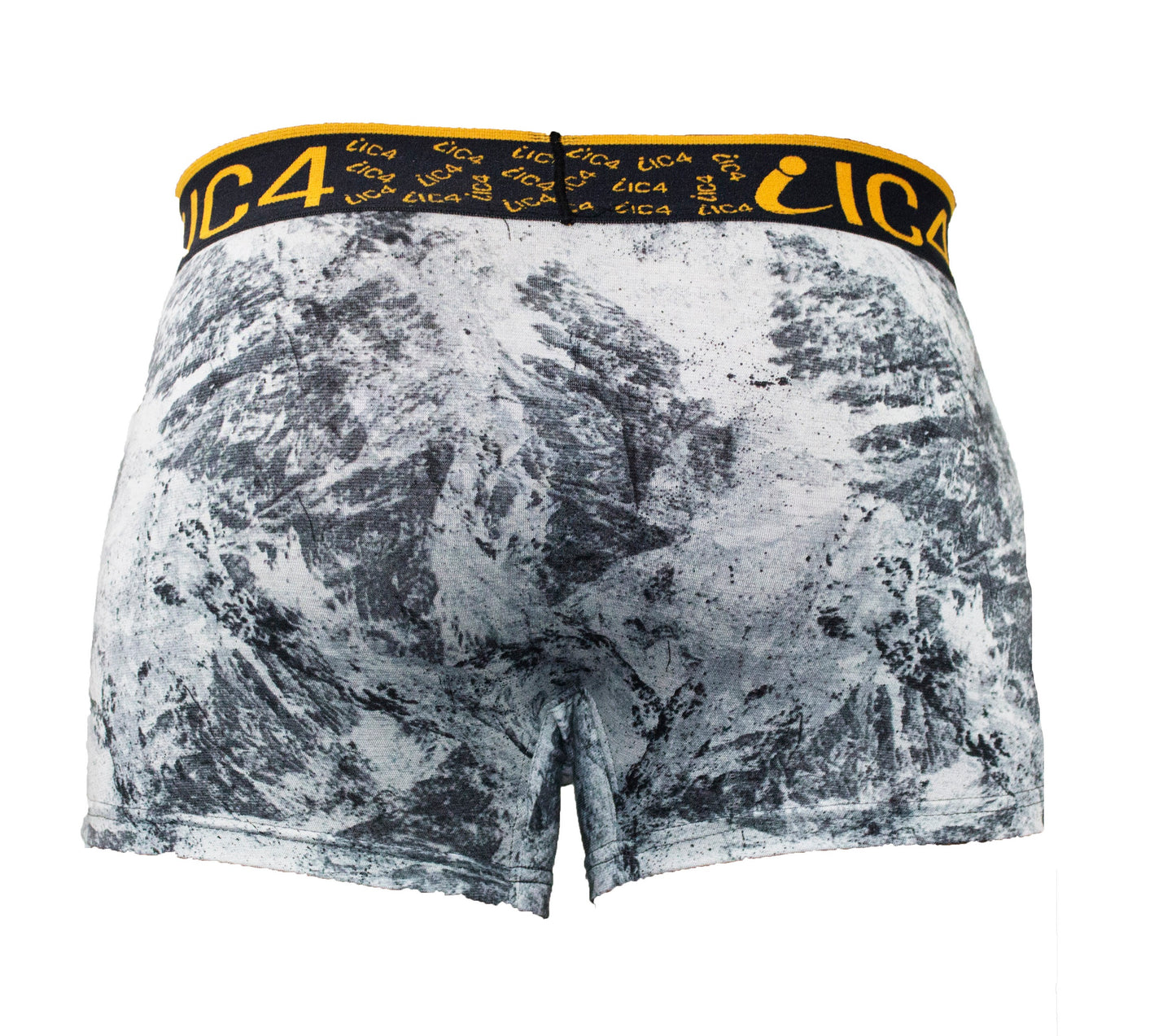 IC4 Men's Printed Trunk