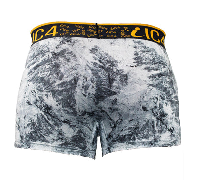 IC4 Men's Printed Trunk