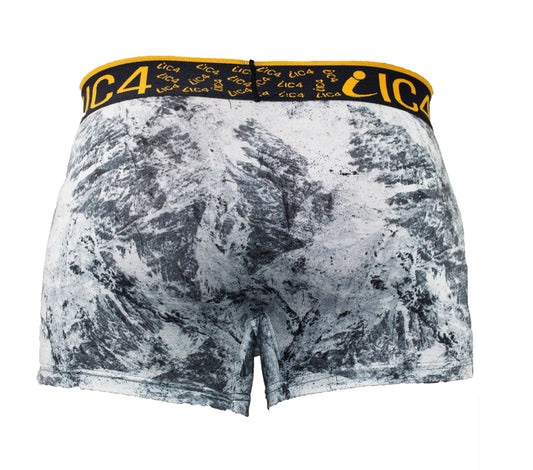 IC4 Men's Printed Trunk