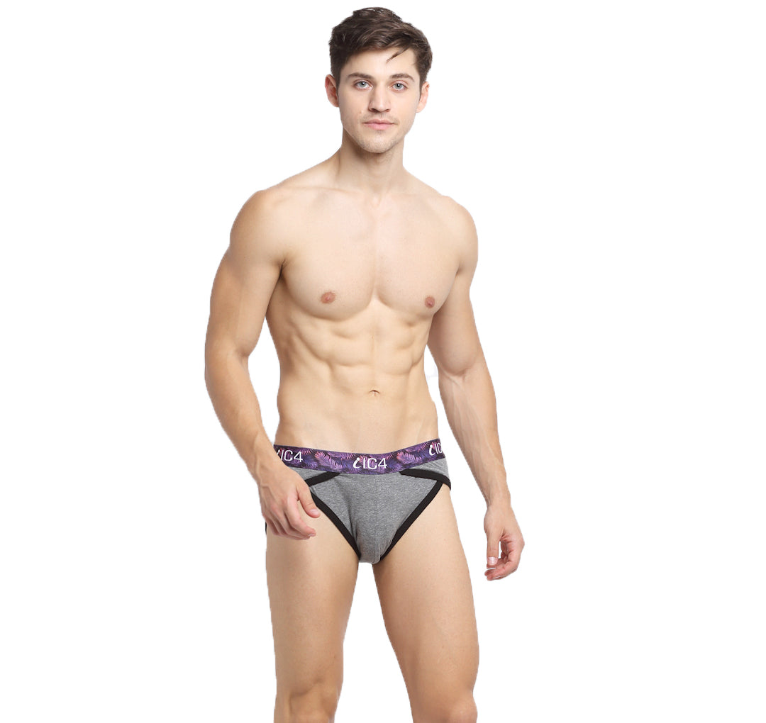 IC4 Men's Cotton Elastane Blaze Brief