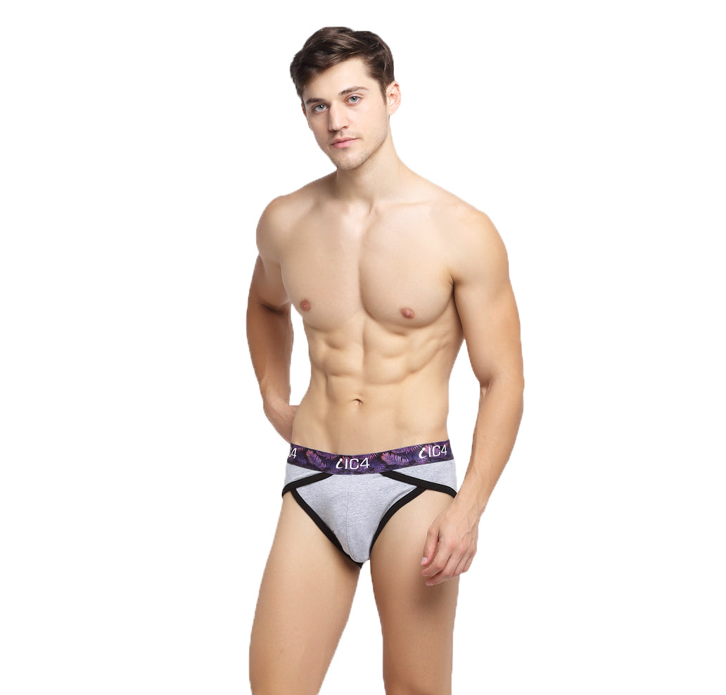 IC4 Men's Cotton Elastane Blaze Brief