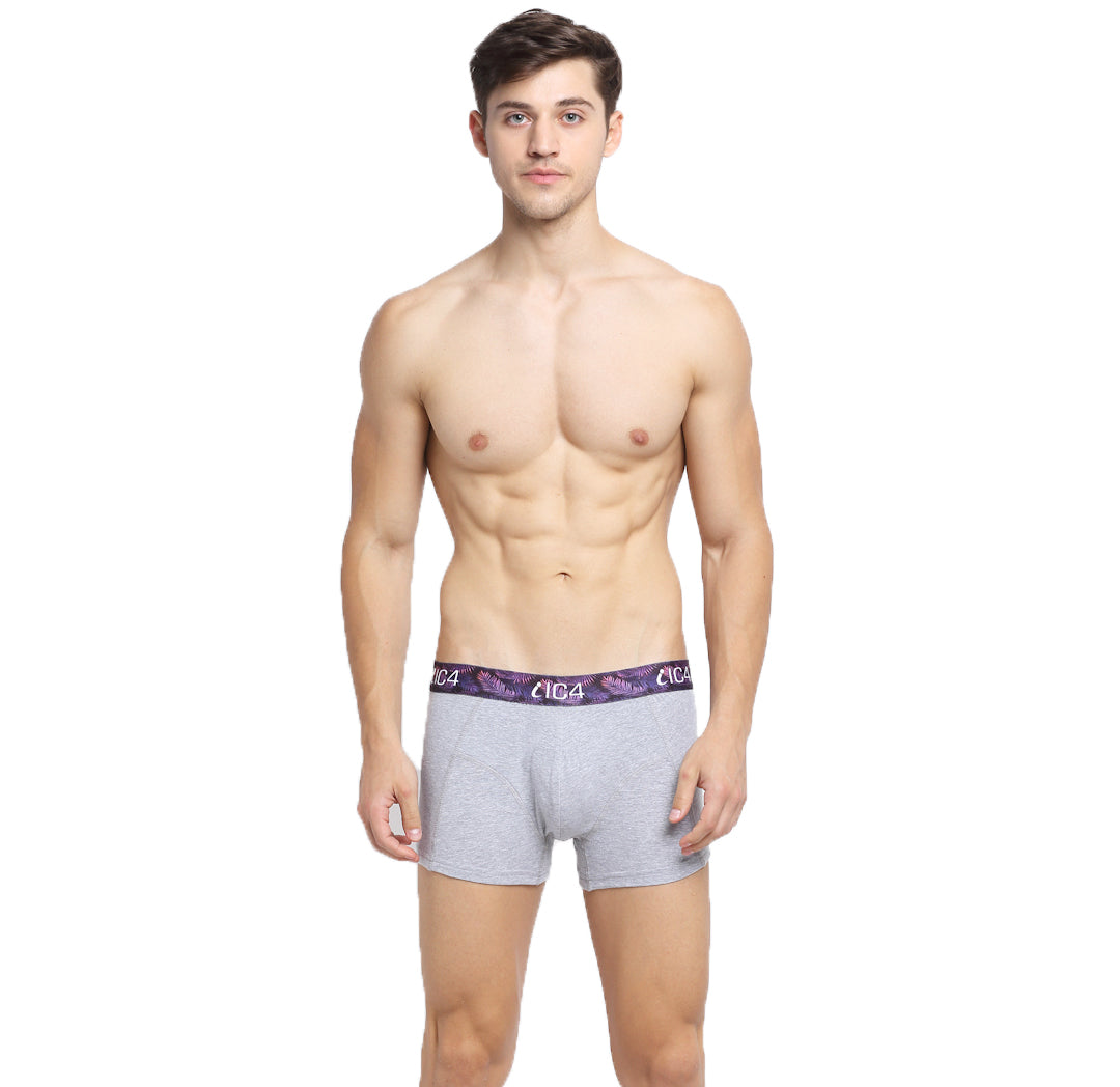 IC4 Men's Cotton Elastane Blaze Trunk